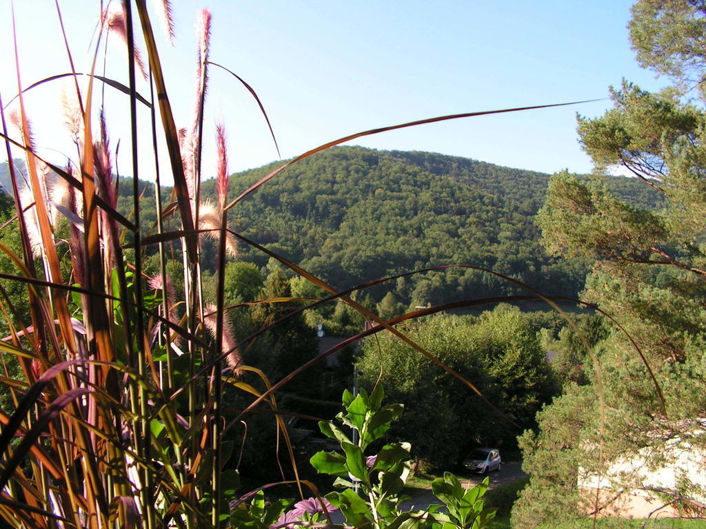 Vila Buhl De Bonheur Guebwiller Exteriér fotografie