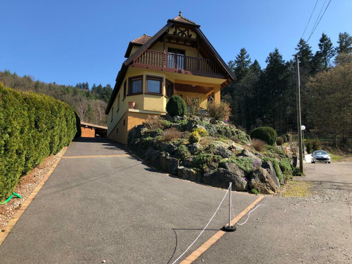 Vila Buhl De Bonheur Guebwiller Exteriér fotografie