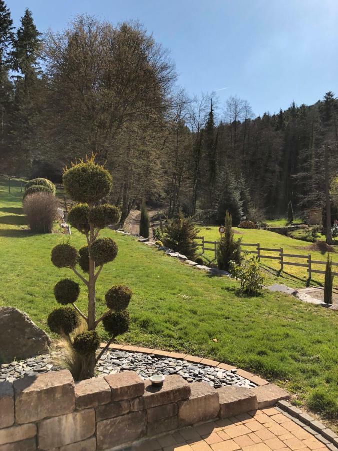 Vila Buhl De Bonheur Guebwiller Exteriér fotografie